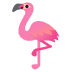 :flamingo: