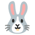 :rabbit: