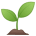 :seedling: :seedling: