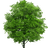tilvert